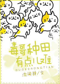 ���������е����