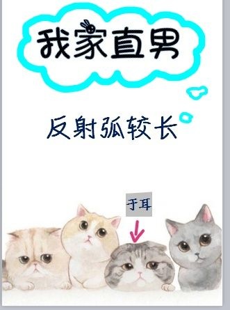 �Ҽ�ֱ�з��仡�ϳ�