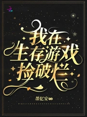 ����������Ϸ������