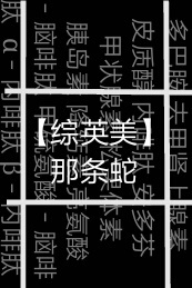 ����Ӣ��ͬ�ˣ�[��Ӣ��]������