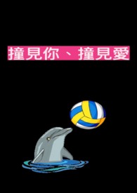 ײ���㡢ײ����