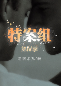 ���ⰸ��������IV