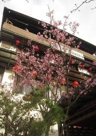 �Ƽ���Ů������