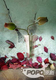 ¯��������Ϯ֮�������мǣ�NP��H��