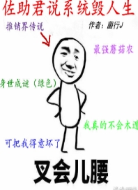 ������ͬ�ˣ�������˵ϵͳ������