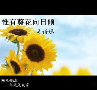 Ω�п���������/��������