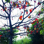 ˵�����ڵģ��Ұ���