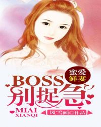 �۰����ޣ�BOSS ��׽��