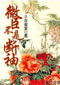 ΢�����Ƕ���