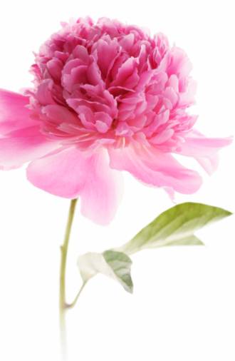 ��s������