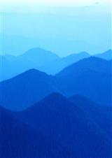 �Ǳ�����