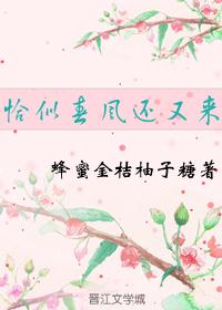 ǡƴ绹