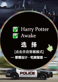 ����ͬ�ˣ�[HP/Awake][LM/SS]ѡ��