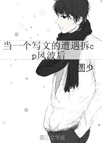 ��һ��д�ĵ�������cp�粨��