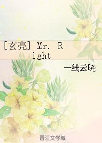 ͬˣ[] Mr. Right