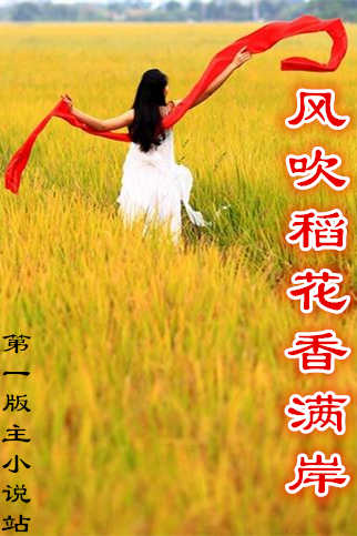 紵